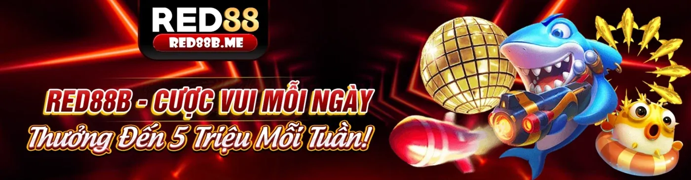 Hoàn trả hàng ngày y088